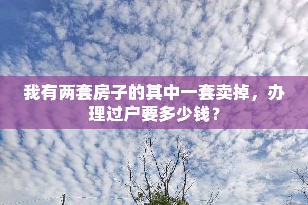 我有两套房子的其中一套卖掉，办理过户要多少钱？