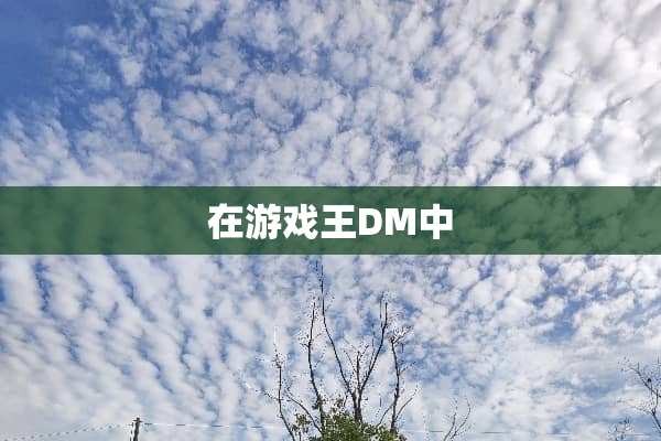 在游戏王DM中