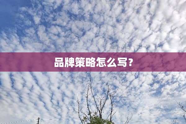 品牌策略怎么写？