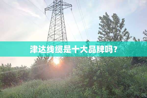 津达线缆是十大品牌吗？