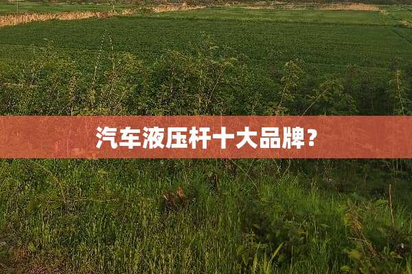 汽车液压杆十大品牌？