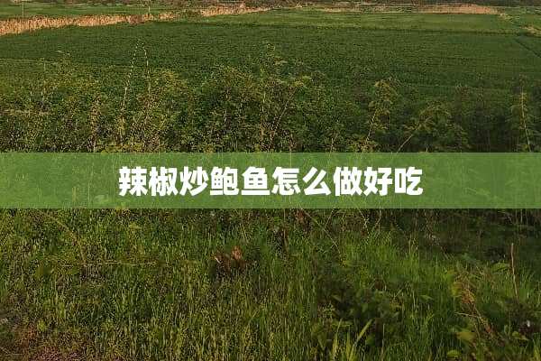 辣椒炒**怎么做好吃