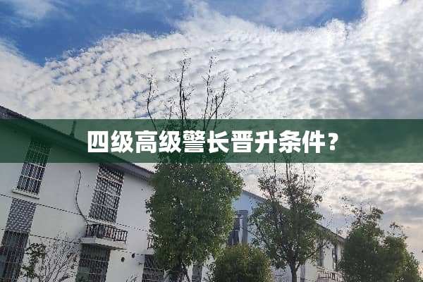 四级高级警长晋升条件？