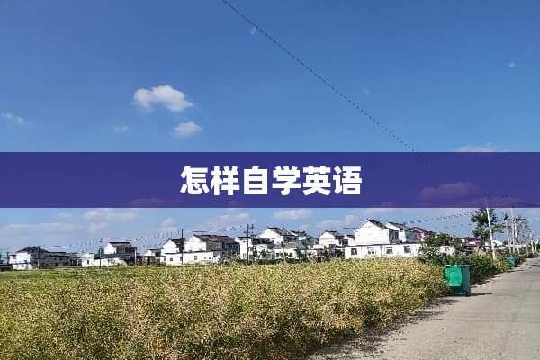 怎样自学英语