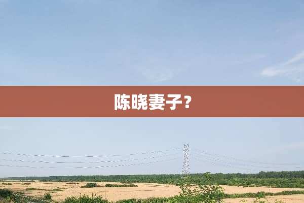 陈晓妻子？
