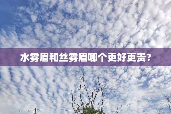 水雾眉和丝雾眉哪个更好更贵？
