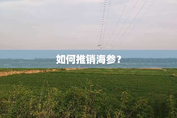 如何推销海参？