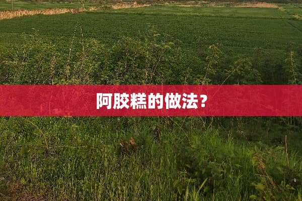 阿胶糕的做法？