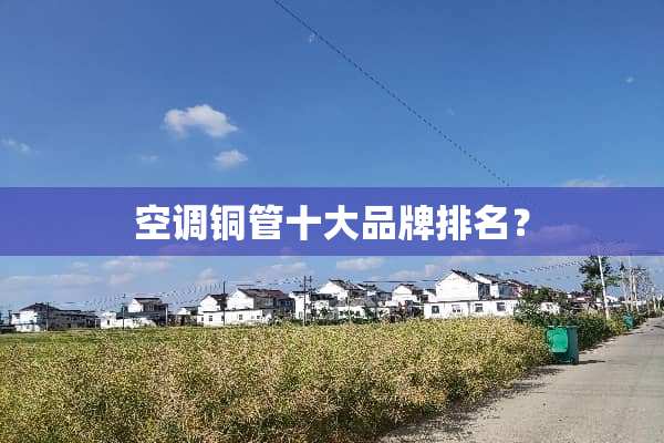 空调铜管十大品牌排名？