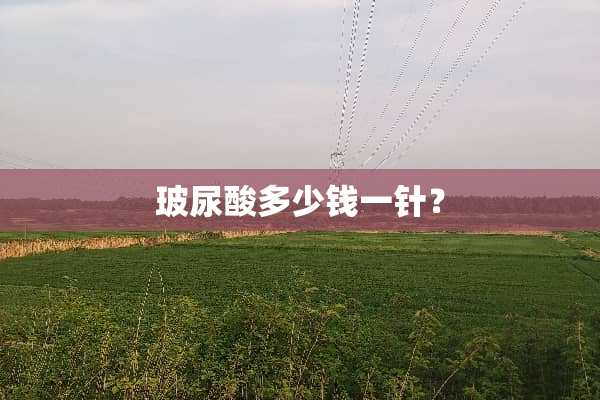玻尿酸多少钱一针？