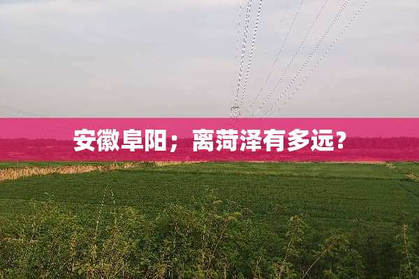 安徽阜阳；离菏泽有多远？