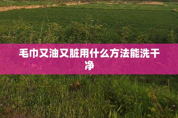 毛巾又油又脏用什么方法能洗干净