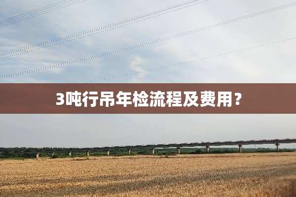 3吨行吊年检流程及费用？