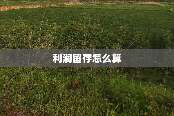 利润留存怎么算