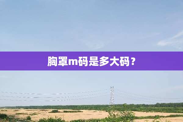 **m码是多大码？