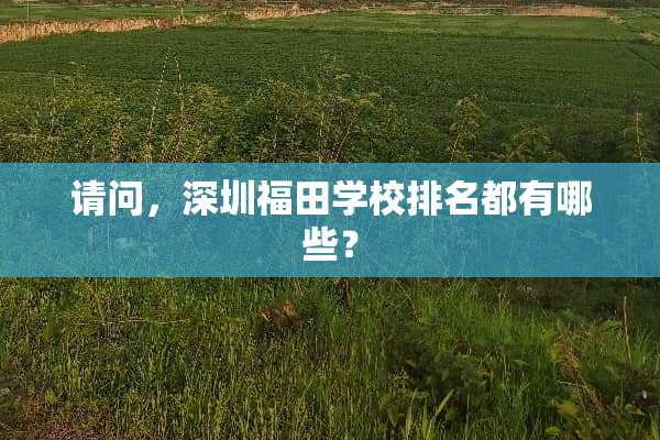 请问，深圳福田学校排名都有哪些？