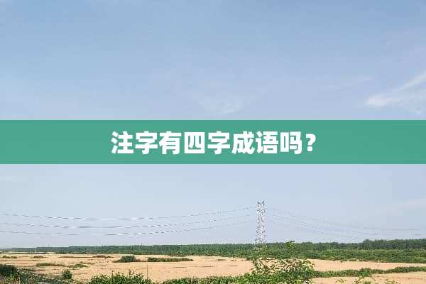 注字有四字成语吗？