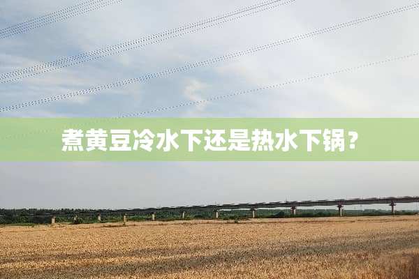 煮黄豆冷水下还是热水下锅？