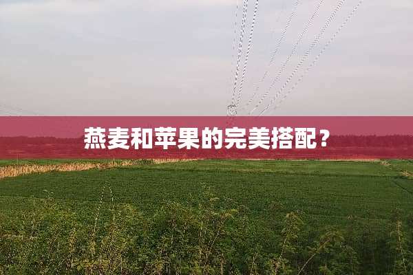 燕麦和苹果的完美搭配？