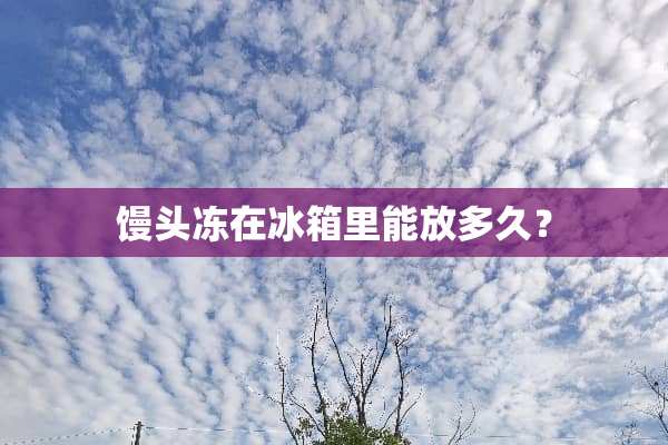 馒头冻在冰箱里能放多久？
