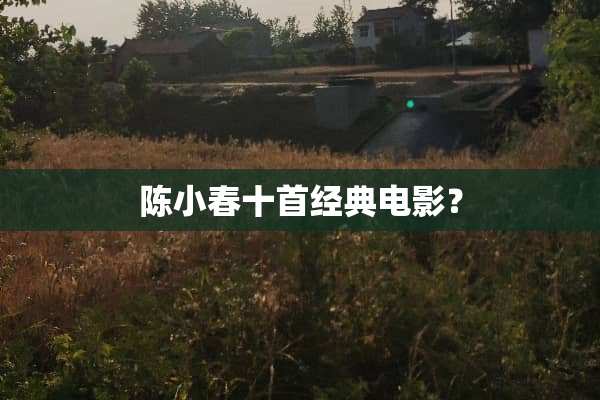 陈小春十首经典电影？