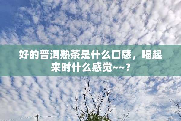 好的普洱熟茶是什么口感，喝起来时什么感觉~~？