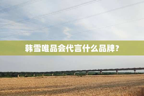 韩雪唯品会代言什么品牌？