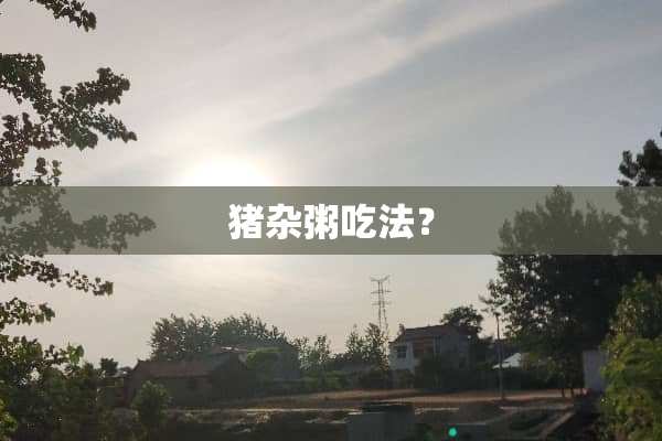 猪杂粥吃法？
