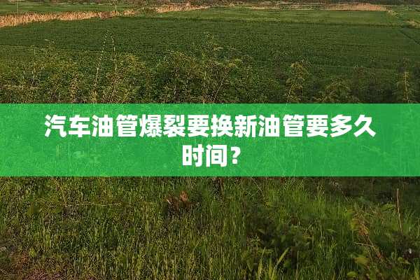 汽车油管爆裂要换新油管要多久时间？
