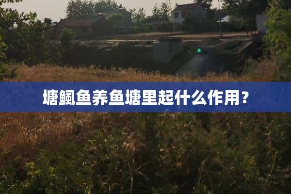 塘鲺鱼养鱼塘里起什么作用？