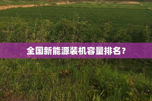 全国新能源装机容量排名？