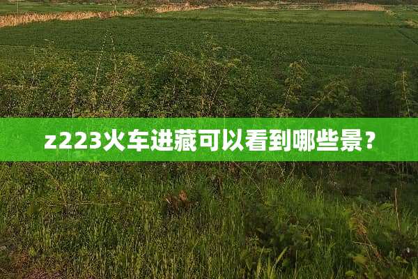 z223火车进藏可以看到哪些景？