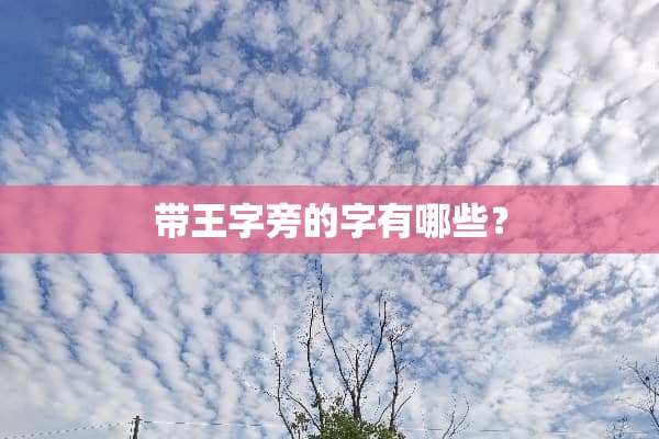 带王字旁的字有哪些？