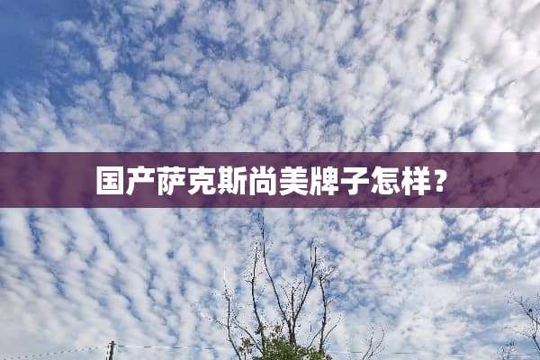 国产萨克斯尚美牌子怎样？