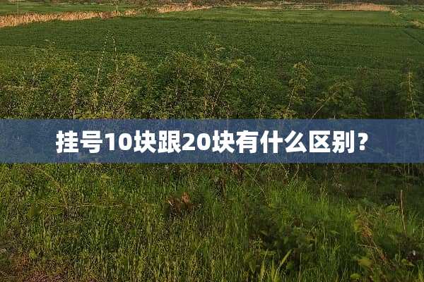 挂号10块跟20块有什么区别？