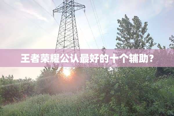 王者荣耀公认最好的十个辅助？