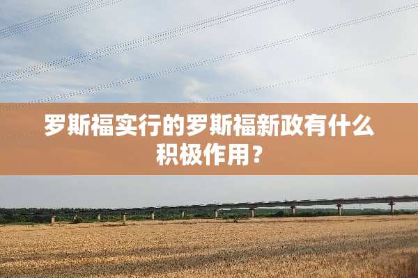 罗斯福实行的罗斯福新政有什么积极作用？