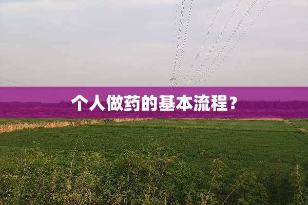 个人做药的基本流程？