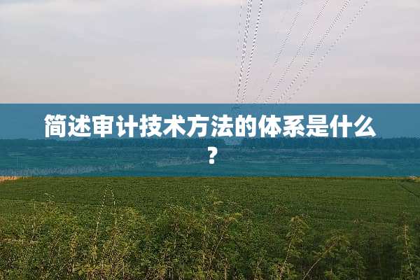 简述审计技术方法的体系是什么？