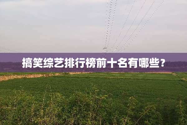 搞笑综艺排行榜前十名有哪些？