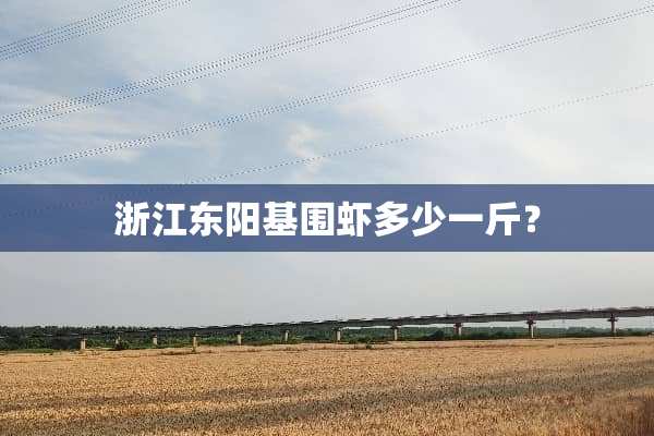 浙江东阳基围虾多少一斤？