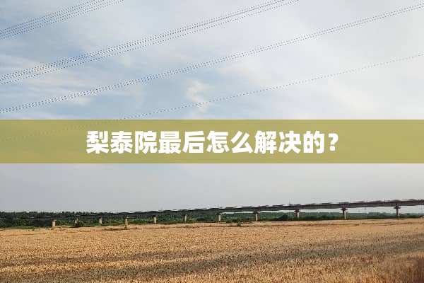 梨泰院最后怎么解决的？