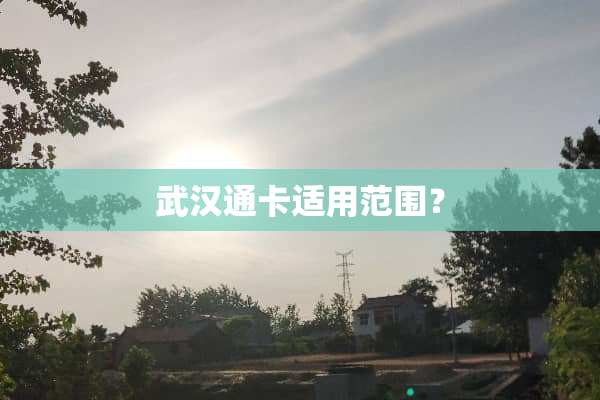 武汉通卡适用范围？