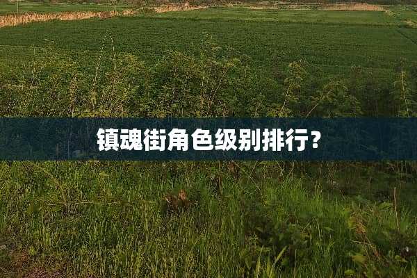 镇魂街角色级别排行？