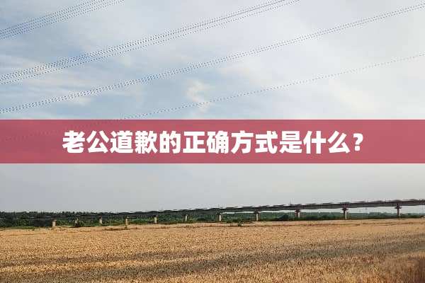 老公道歉的正确方式是什么？