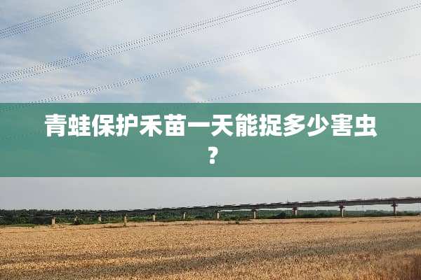 青蛙保护禾苗一天能捉多少害虫？