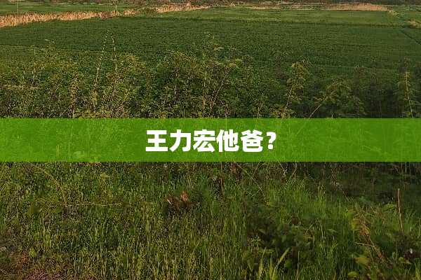 王力宏他爸？