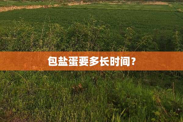 包盐蛋要多长时间？