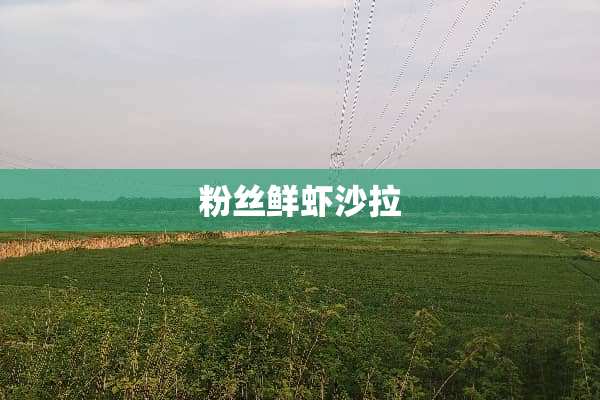 粉丝鲜虾沙拉