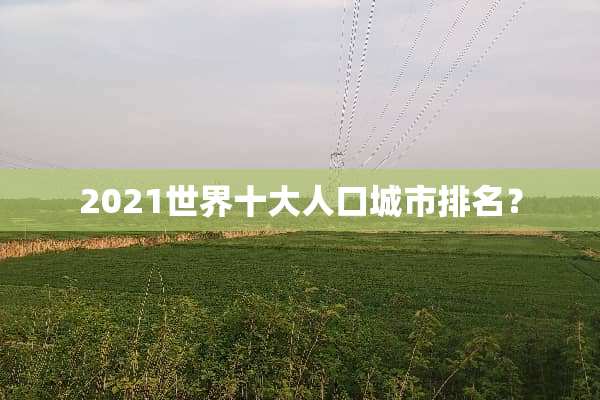 2021世界十大人口城市排名？